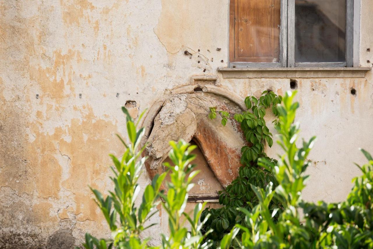 Апартаменты Domus Festina Lente Орвието Экстерьер фото